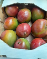 Fresh Mango from Ghana
